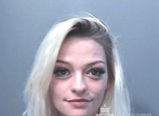 Woman sentenced after serious Swansea city centre assault