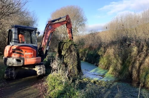 newsroom-parrots-feather-control-on-pembrey-canal.jpg