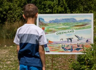 WWT Llanelli Wetland Centre Launches New Postcard Adventure Trail for the Summer Holidays