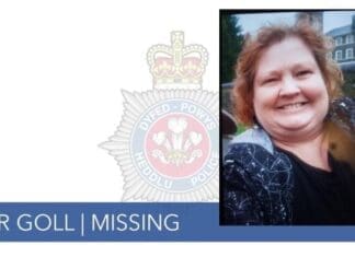 Missing Person Carmarthen