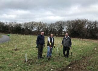 Carmarthenshire Council Unveils New Tree & Woodland Strategy