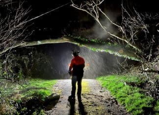 Storm Darragh: National Grid Electricity Distribution offers preparation advice to South Wales customers