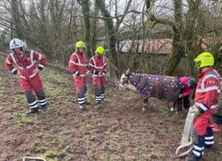 Firefighters Rescue Trapped Donkey in Pontantwn