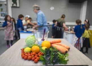 Carmarthenshire schools launch food waste monitoring initiative