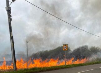 Wildfire Closes Tumble Road