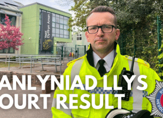 Teenage girl sentenced for attempted murder at Carmarthenshire school