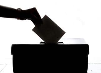 Lliedi Ward By-Election results