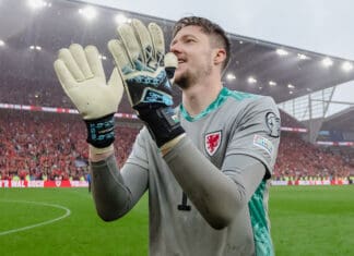 Wayne Hennessey retires as a Cymru centurion and hero