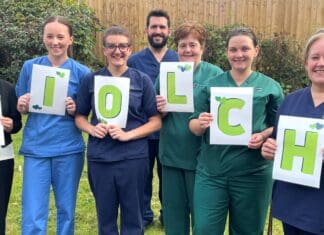 Green light for new therapeutic gardens at Prince Philip Hospital