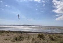 What’s on the minds of people in Llandovery and Llanelli