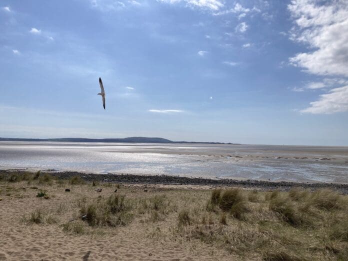 llanelli