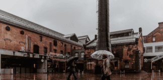 Welsh travel expert shares the best indoor activities to escape the rain in Wales Â