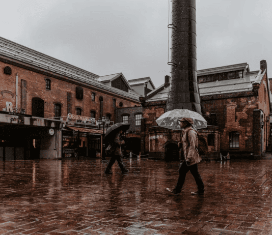 Welsh travel expert shares the best indoor activities to escape the rain in Wales Â