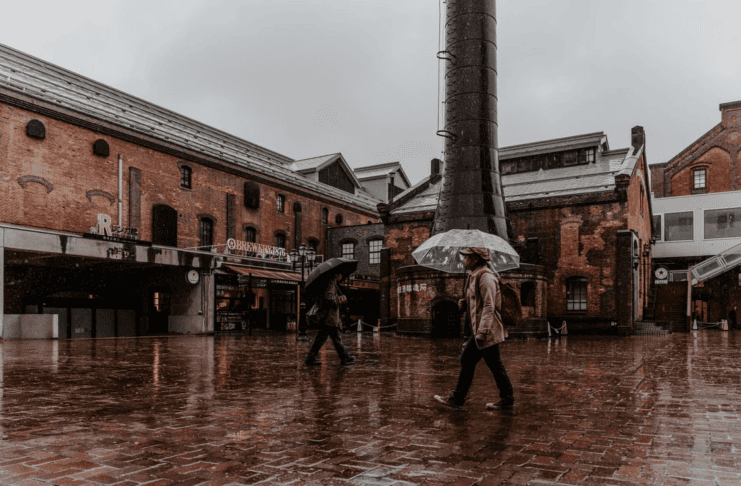 Welsh travel expert shares the best indoor activities to escape the rain in Wales Â