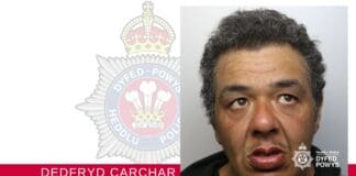 Llanelli Woman Sentenced To 4 Years In Prison